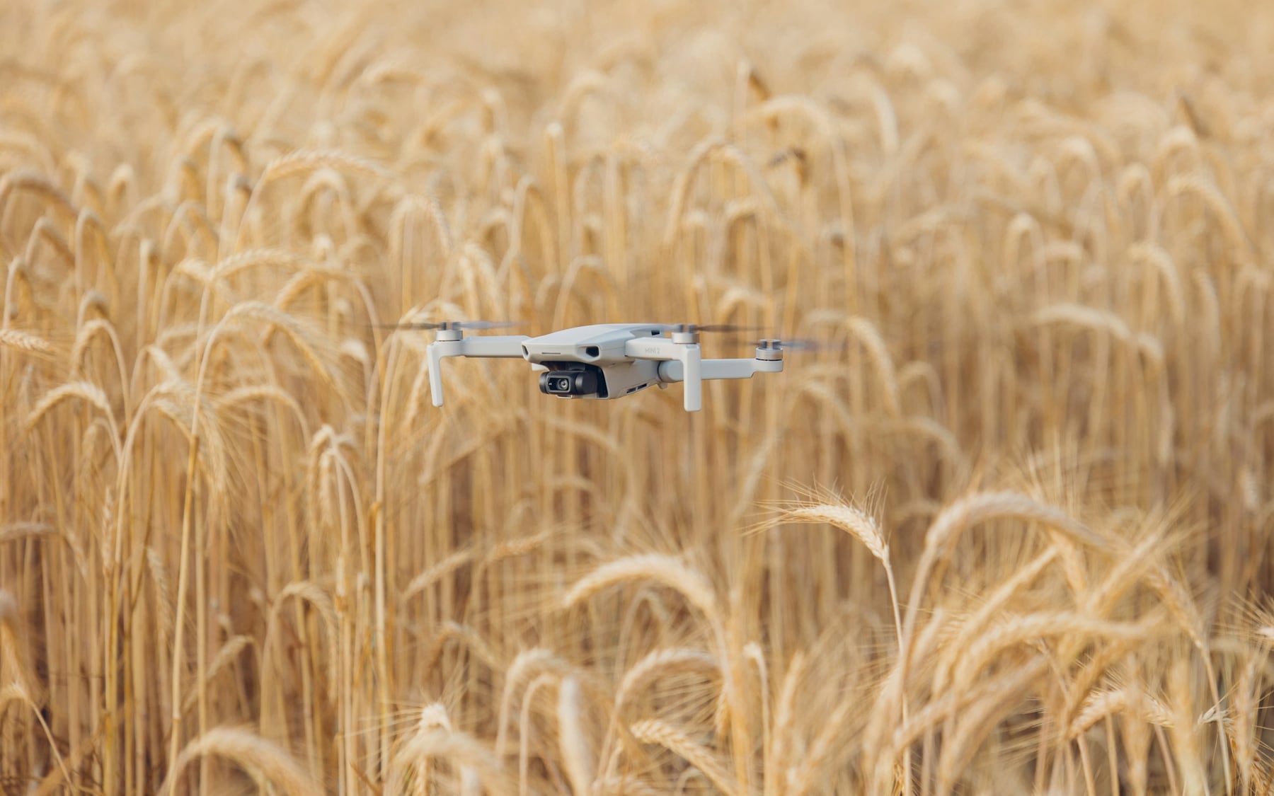 Drone application in agriculture